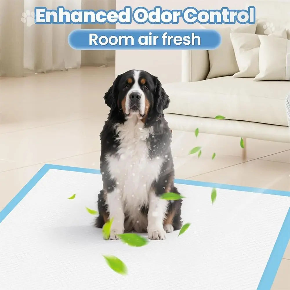 Super Absorbent Quick Dry Disposable Puppy Pads For Indoor Training