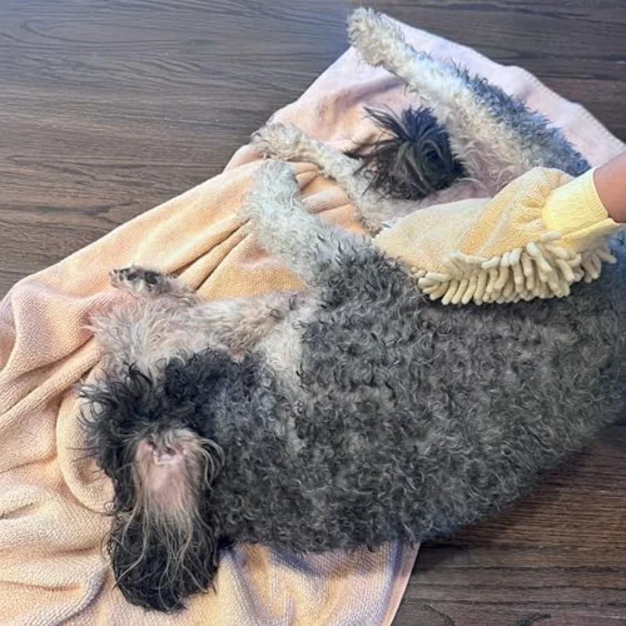 Super Absorbent Chenille Microfiber Dog Paw Cleaning Mitt