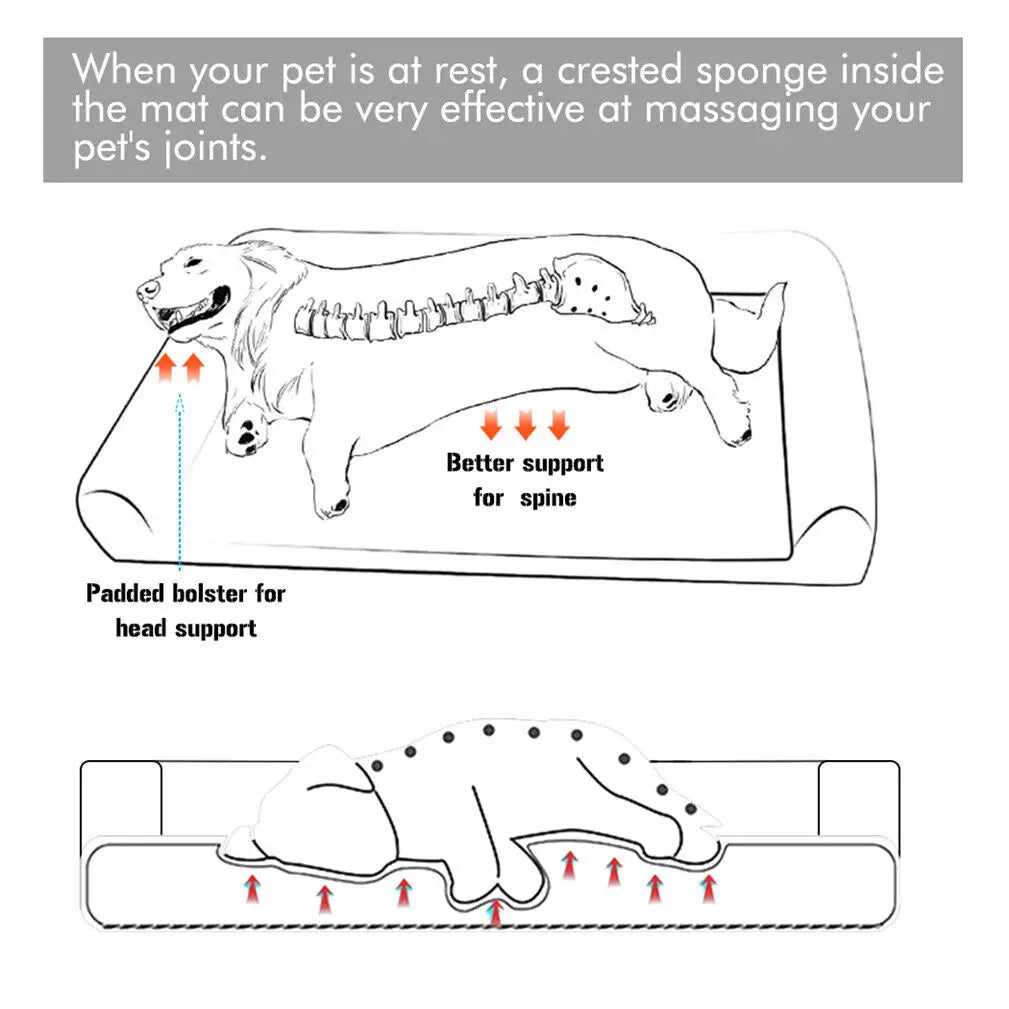 Bingopaw Orthopedic Dog Bed With Removable Washable Foam Cover