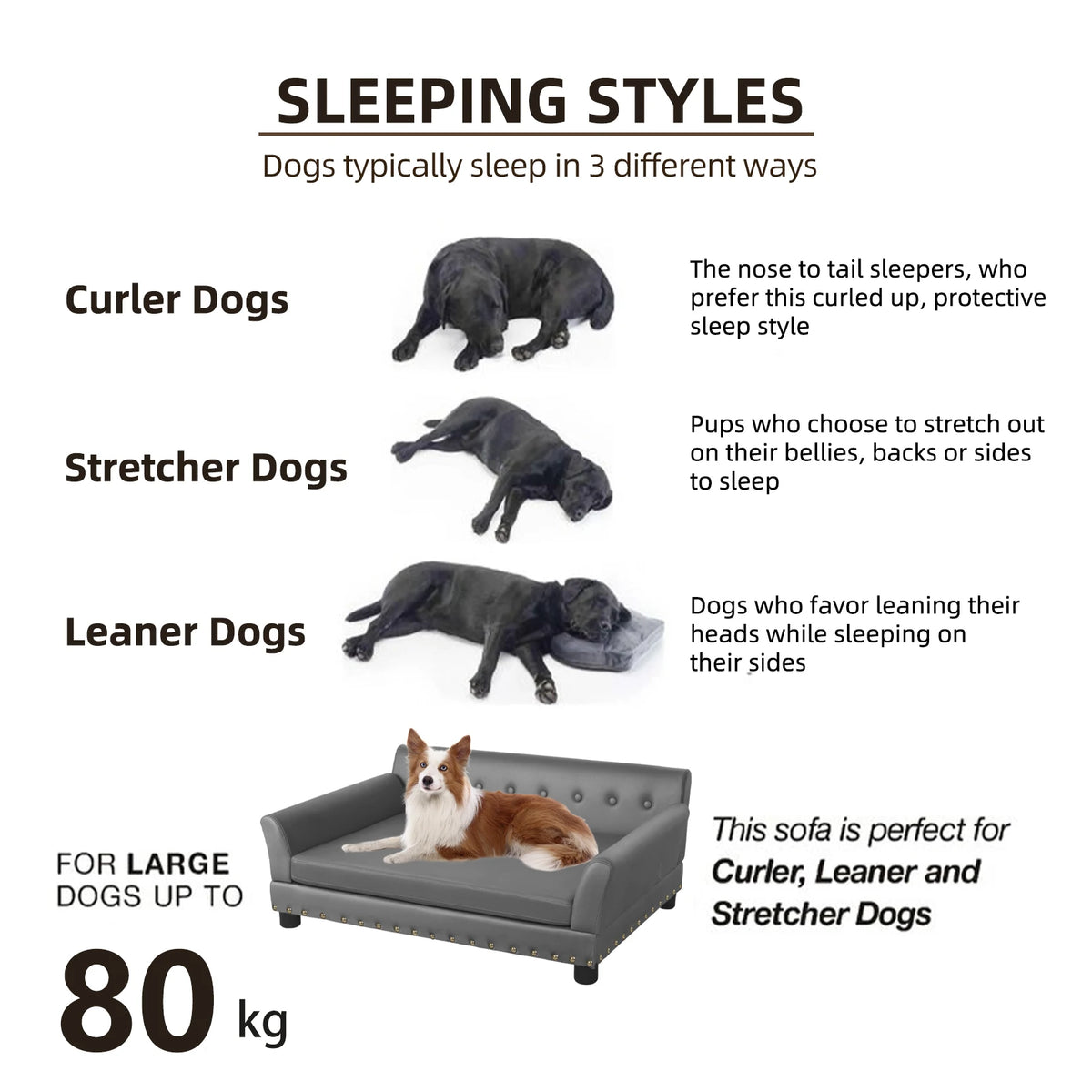 Bingopaw Elevated Dog Sofa With Removable Cushion Microfiber Cover