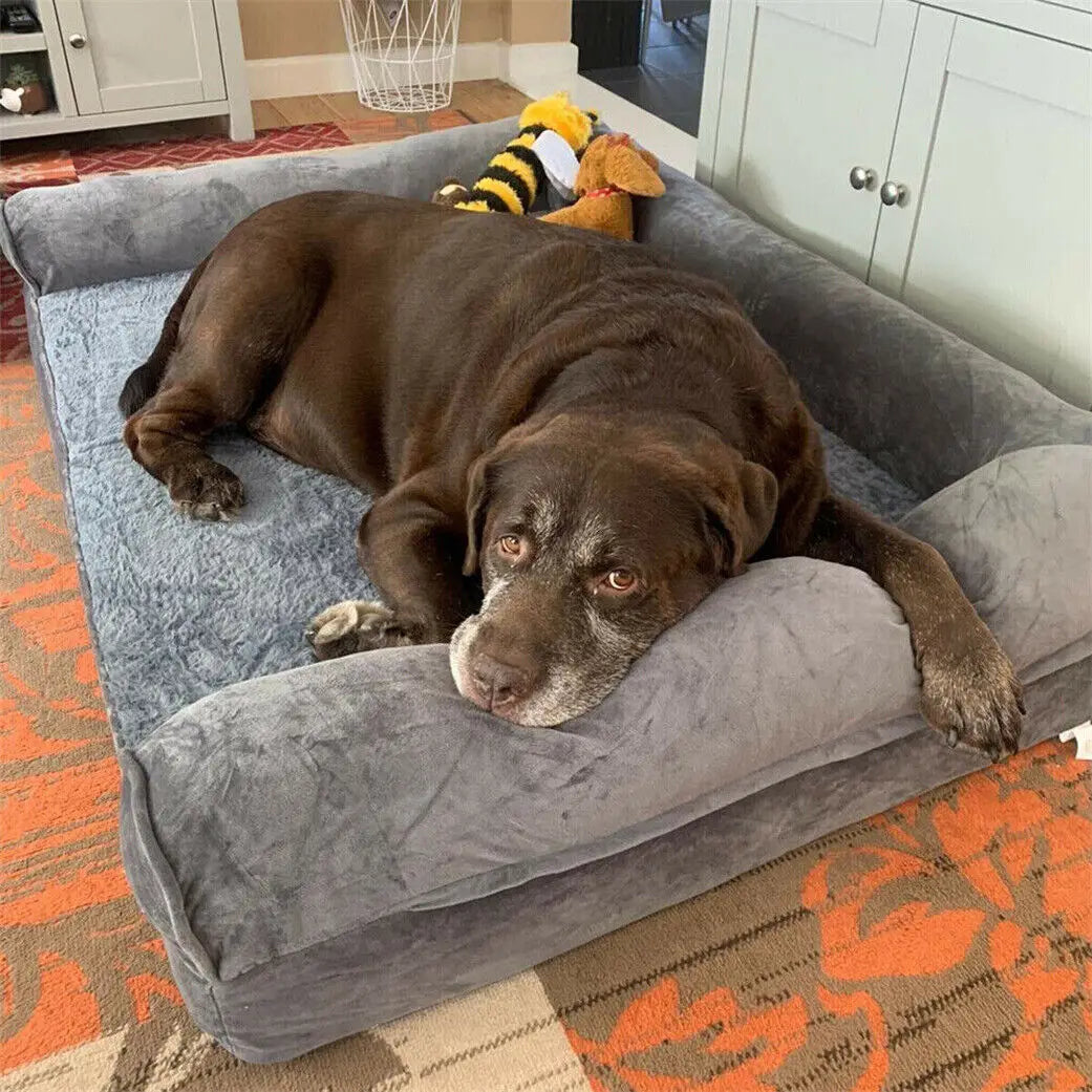 Bingopaw Orthopedic Dog Bed With Removable Washable Foam Cover