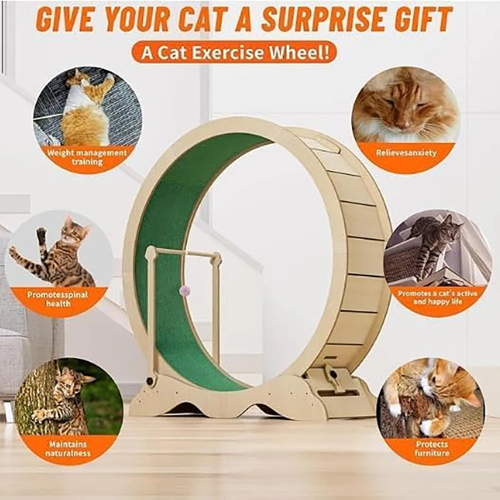Cat Exercise Wheel With Detachable Carpeted Runway For Indoor Pets