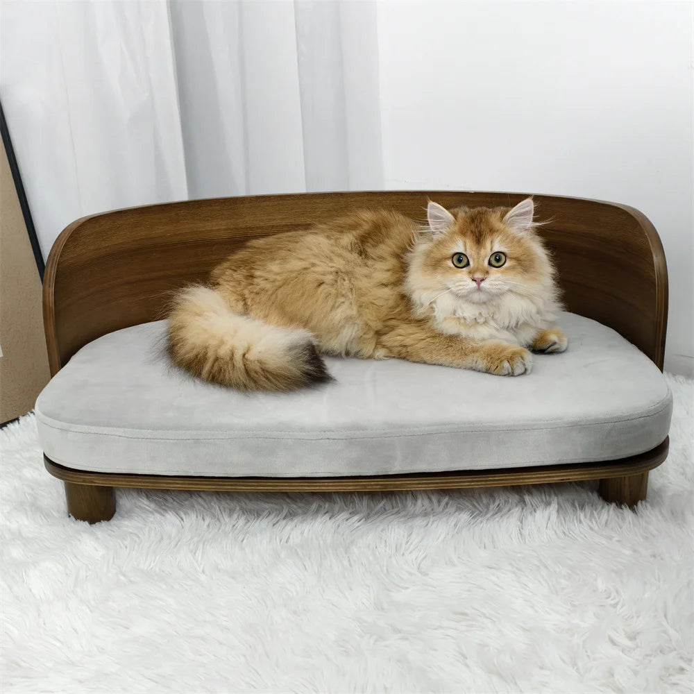 Borwart Elevated Pet Sofa With Waterproof Eucalyptus Wood Frame