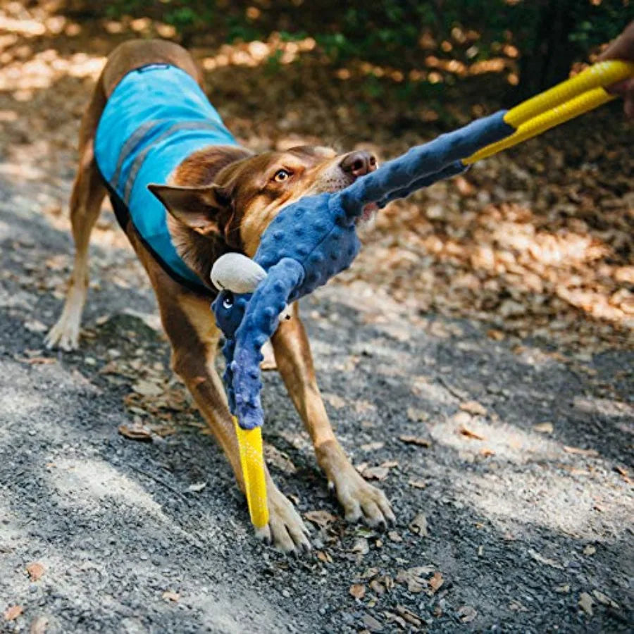 RopeTugz Durable Dog Pull Rope Toy - Blue Monkey Interactive Tug of War for Large, Medium and Small Dog, Squeaky Pet Product to