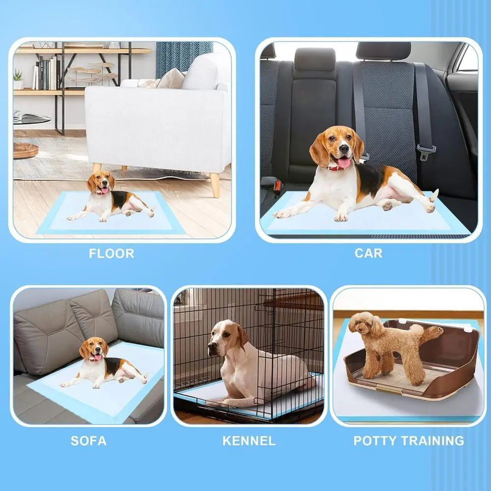 Super Absorbent Quick Dry Disposable Puppy Pads For Indoor Training