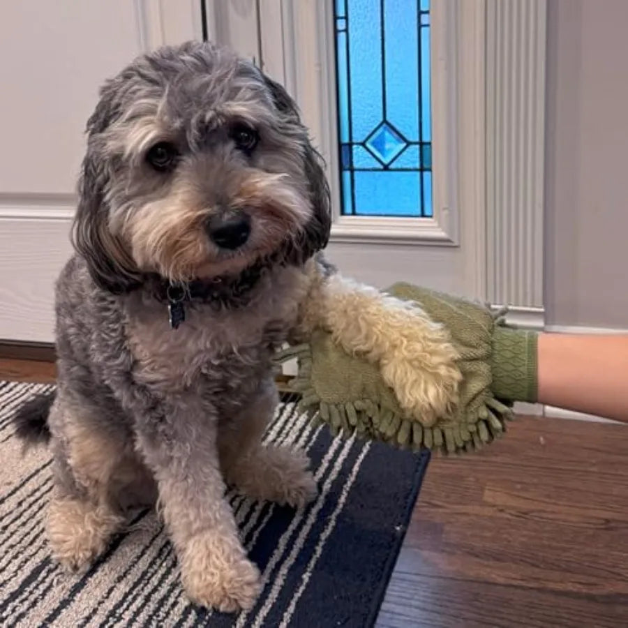 Super Absorbent Chenille Microfiber Dog Paw Cleaning Mitt