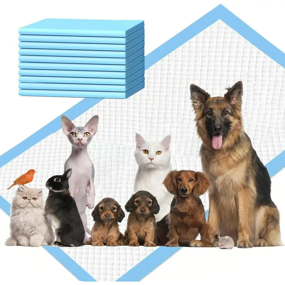 Super Absorbent Quick Dry Disposable Puppy Pads For Indoor Training