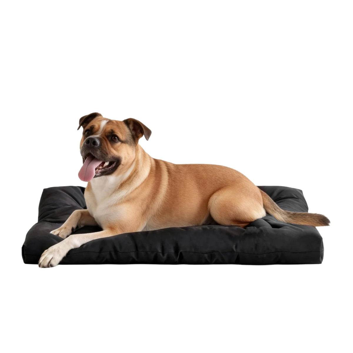 Indestructible Waterproof Dog Bed For Tough Aggressive Chewers